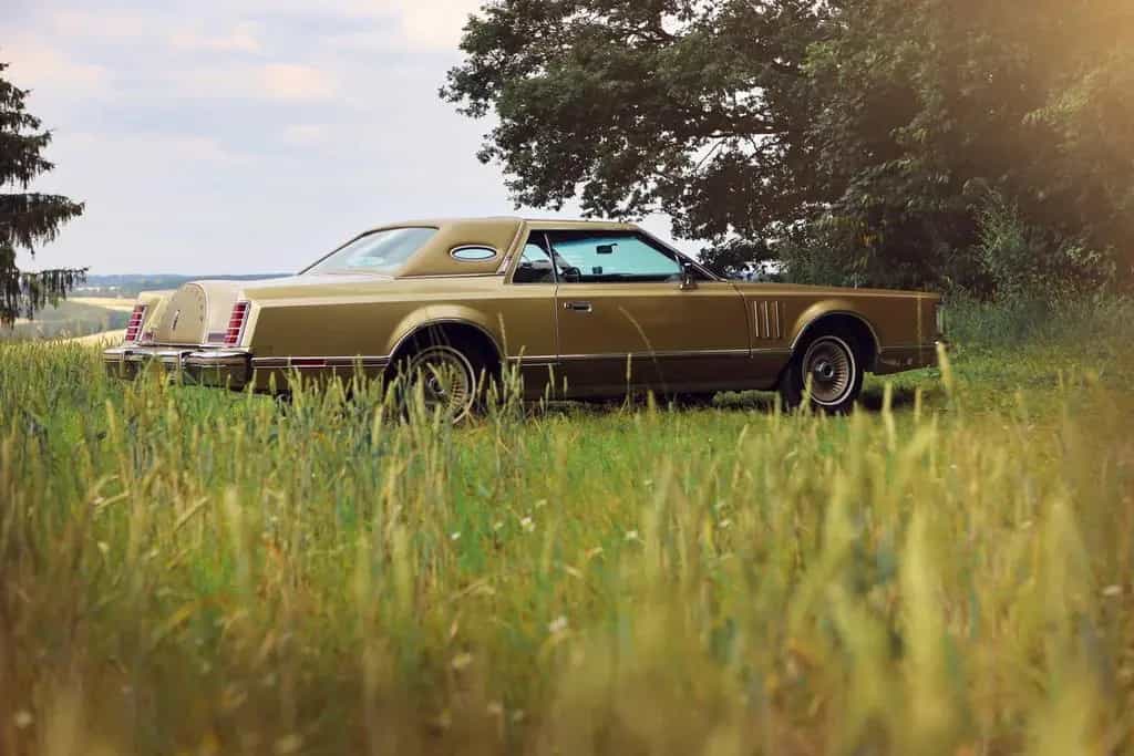 Lincoln Continental 05/1978-photo-9