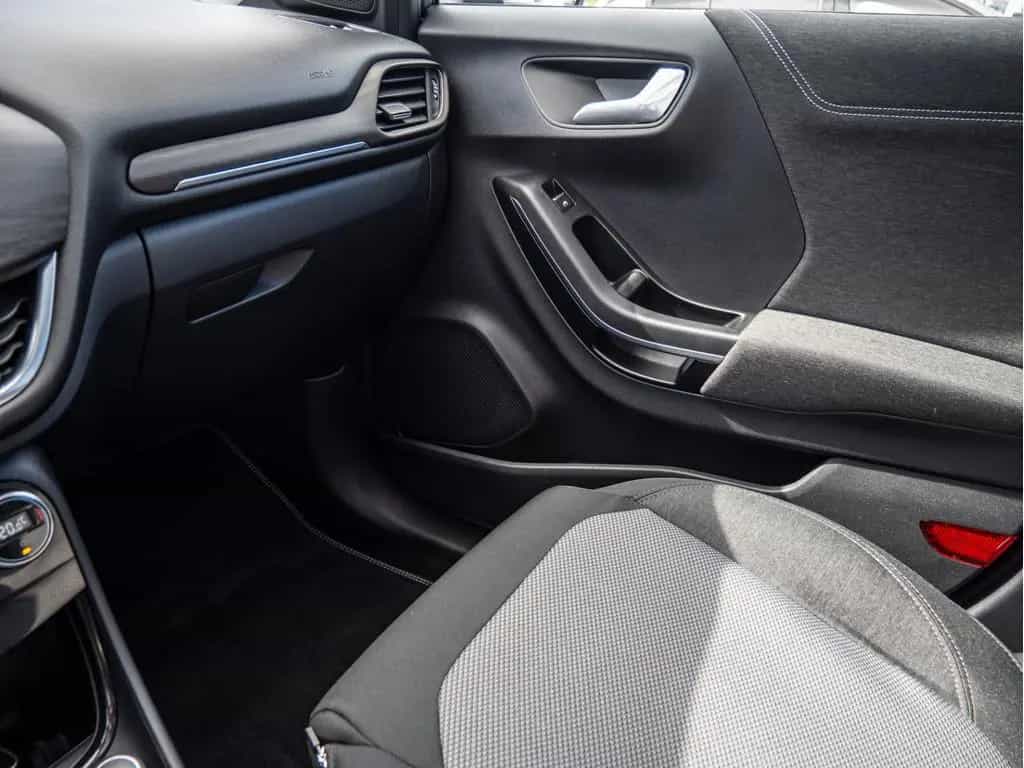 Ford Puma 1.0 EcoBoost Titanium X ACC B&O LED PANO 03/2020-photo-16