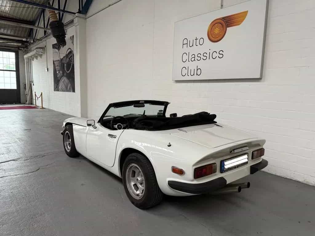 TVR Other 3000 S - Top Zustand 05/1979-photo-13