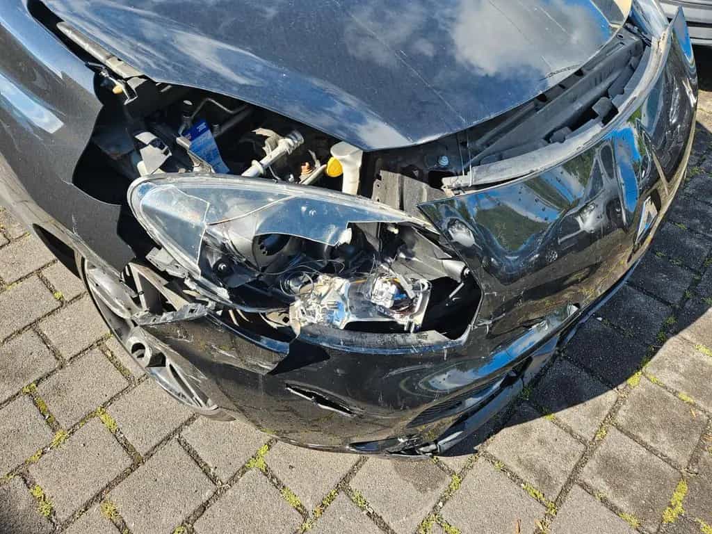 Renault Wind Dynamique 03/2011-photo-5