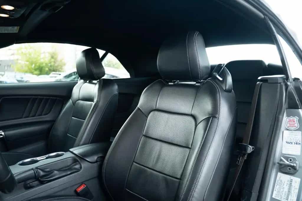 Ford Mustang Convertible/EcoBoost/LED 01/2022-photo-21