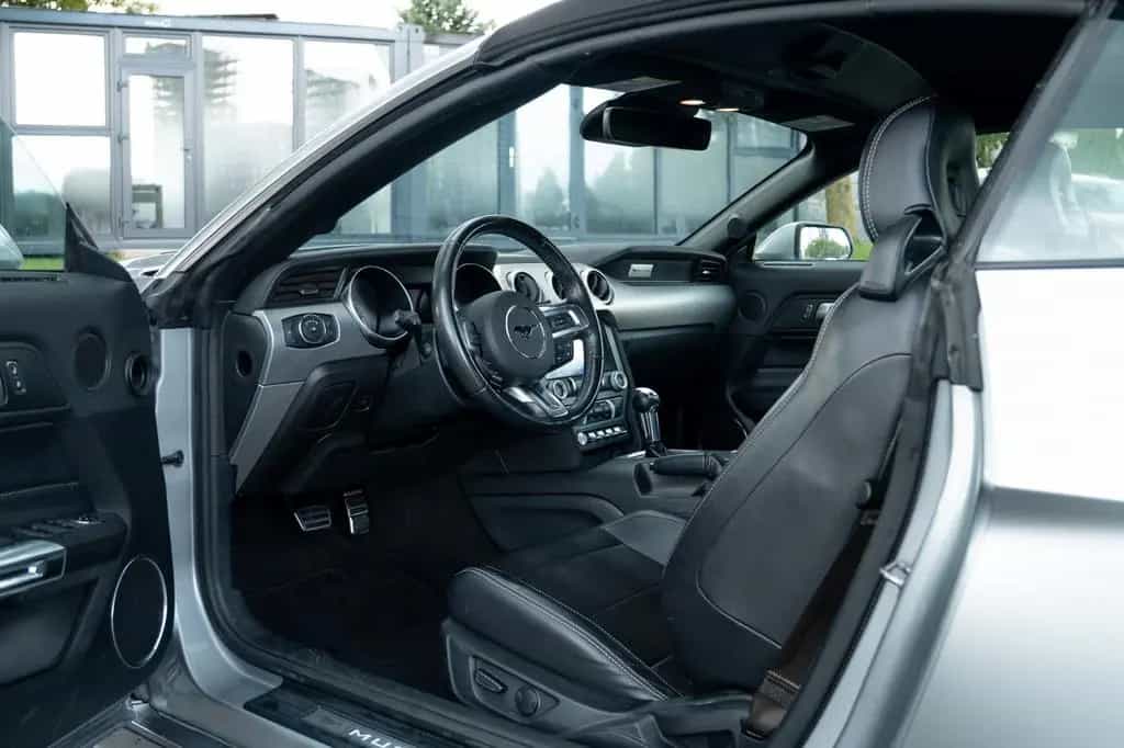 Ford Mustang Convertible/EcoBoost/LED 01/2022-photo-22
