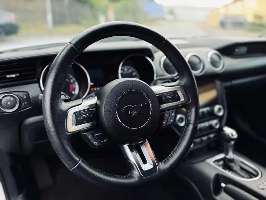 Ford Mustang GT350*LED*NAVI*LEDER*PERFORMANCE*GARANTI*SERVICE 12/2020-photo-33