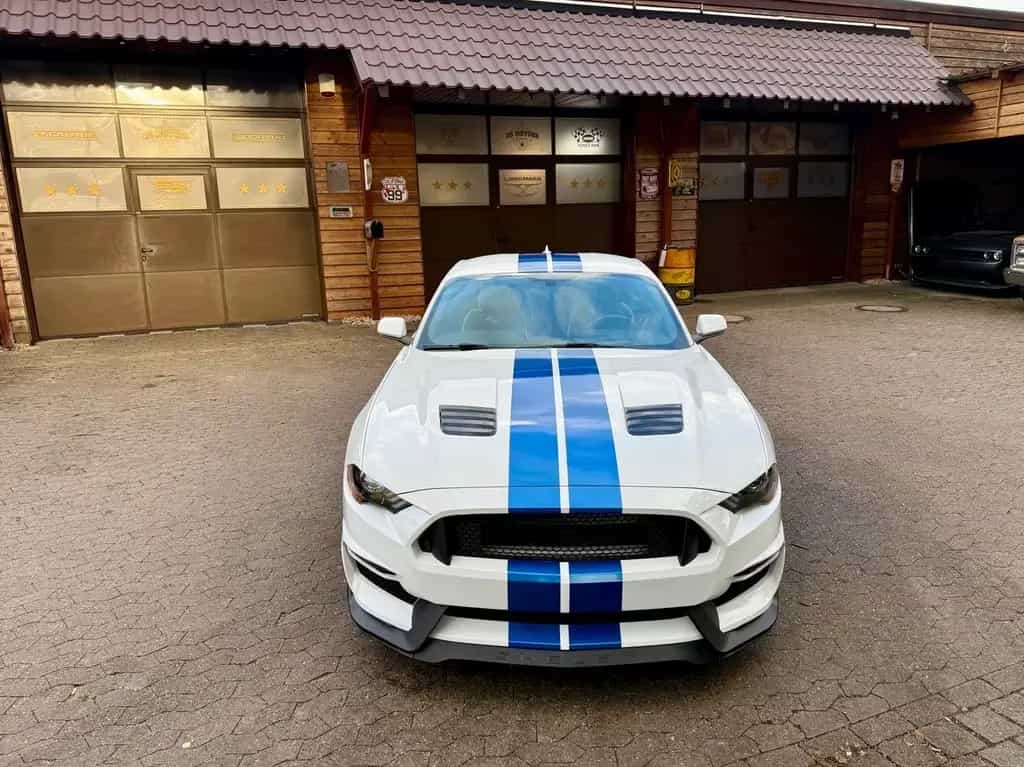 Ford Mustang GT350*LED*NAVI*LEDER*PERFORMANCE*GARANTI*SERVICE 12/2020-photo-8