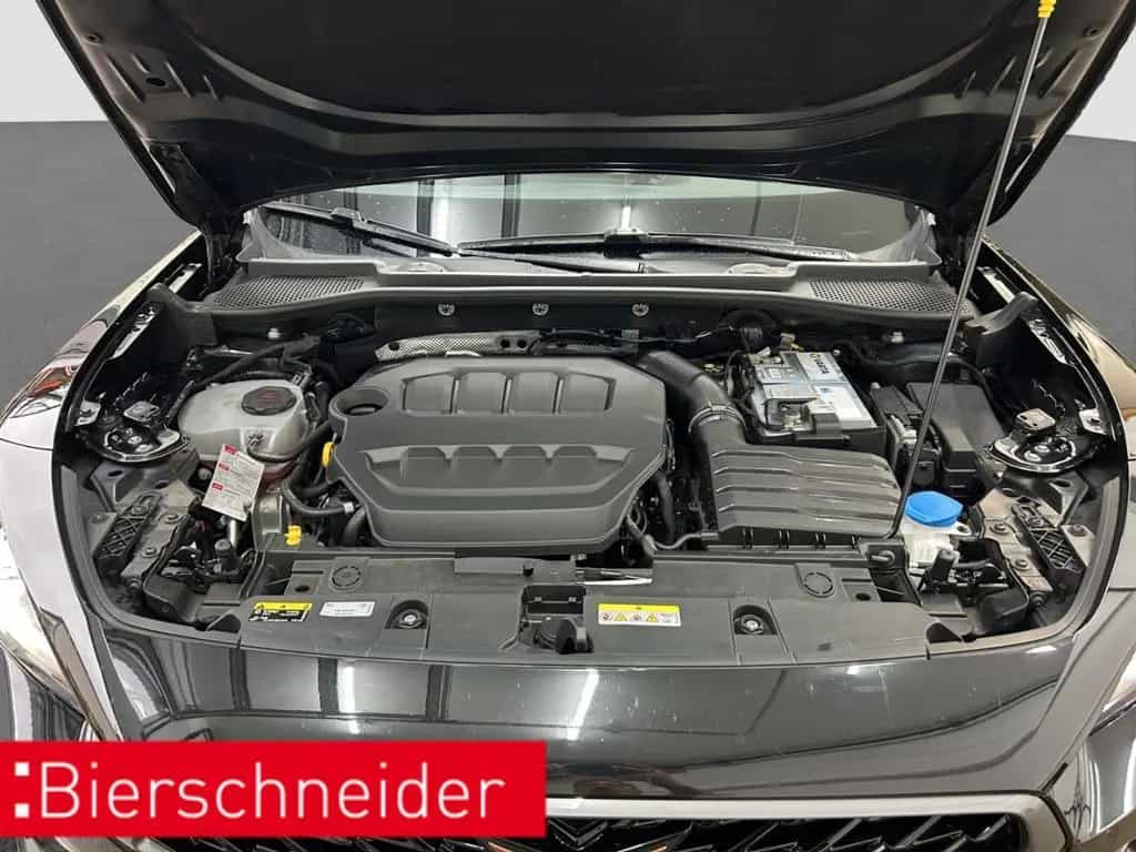 Cupra Formentor 2.0 TSI DSG 4Drive VZ ab mtl. 189,- CA 01/2021-photo-24