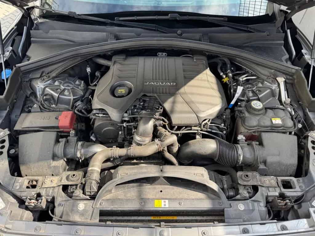 Jaguar F-Pace R-Sport/AWD/Leder/Kamera/Meridian 03/2018-photo-19