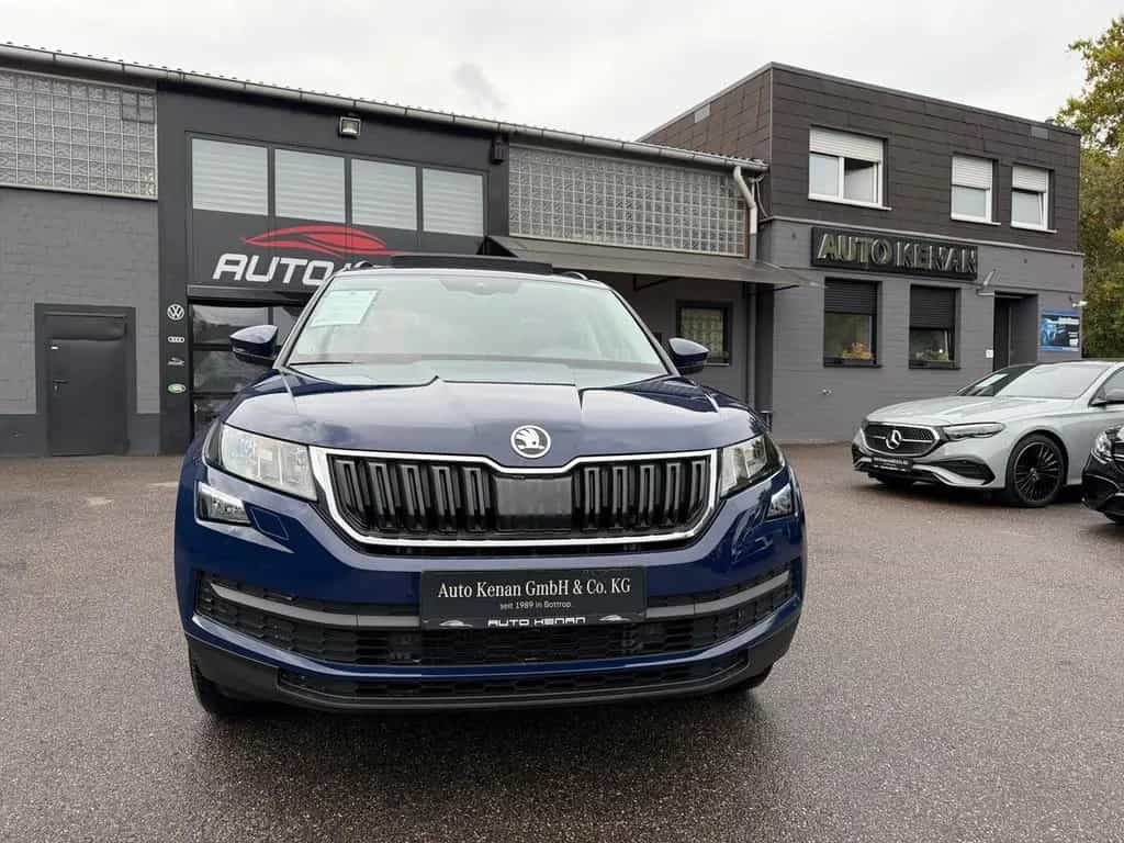 Skoda Kodiaq Ambition 4x4  1Hd/Leder/Navi/Pano/Kamera 12/2017-photo-15