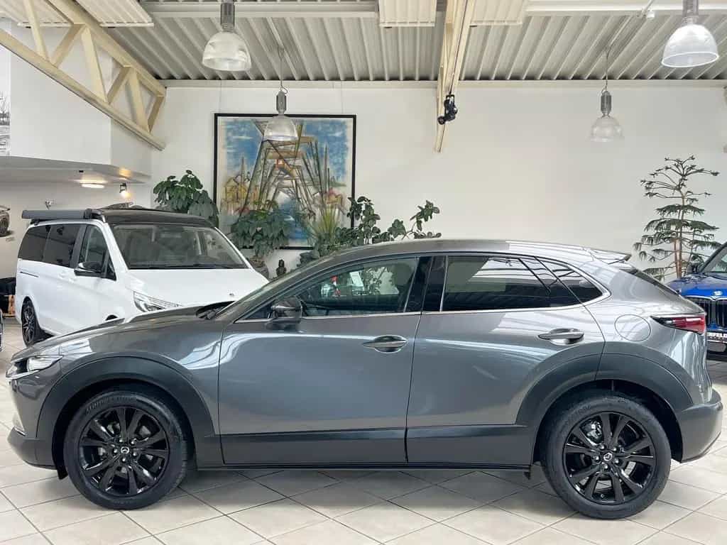 Mazda CX-30 SKYACTIV-G M Hybrid *HUD*ACC*RFK*SHZ*DAB*NAVI* 03/2022-photo-6