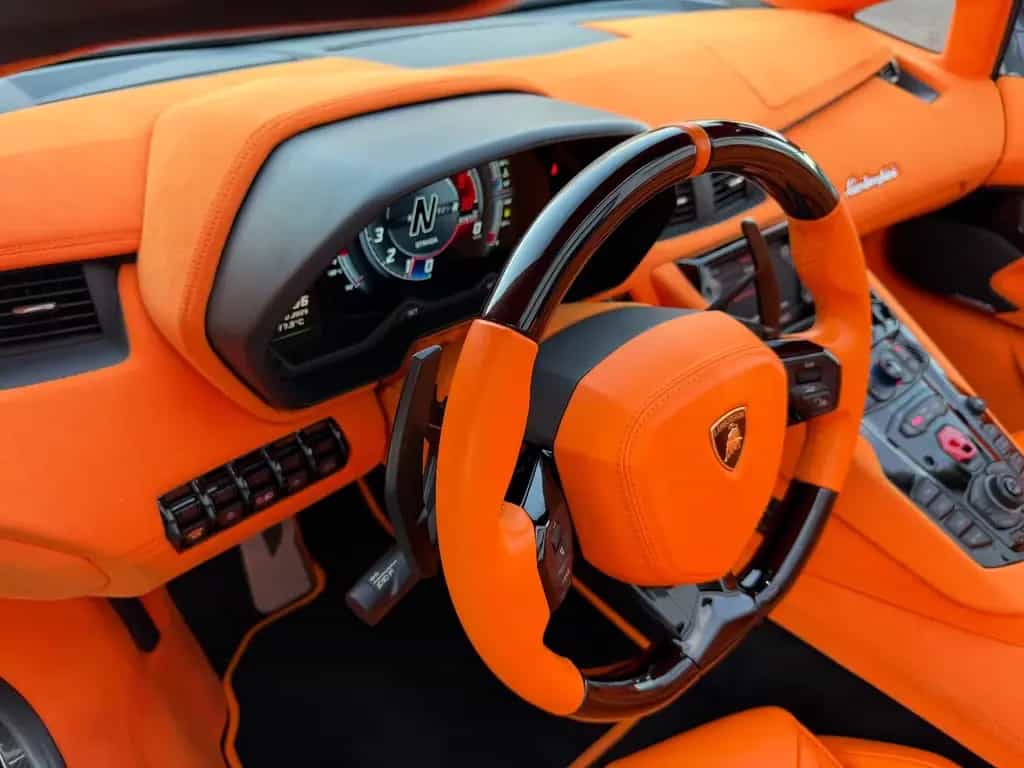 Lamborghini Aventador S Roadster SPECIAL COLOR/ONE OF ONE 06/2018-photo-20