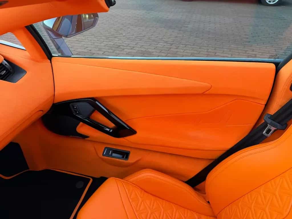 Lamborghini Aventador S Roadster SPECIAL COLOR/ONE OF ONE 06/2018-photo-23