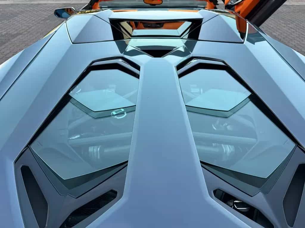 Lamborghini Aventador S Roadster SPECIAL COLOR/ONE OF ONE 06/2018-photo-28