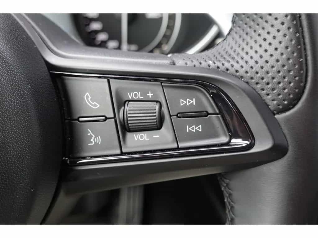 Alfa Romeo Stelvio Q4 Sprint 2.0 Turbo 16V  AHK-el. klappb. 08/2022-photo-18