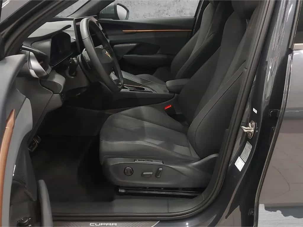 Cupra Terramar VZ 2.0 TSI 4Drive DSG 20 PANO  AHK | SE 03/2025-photo-9