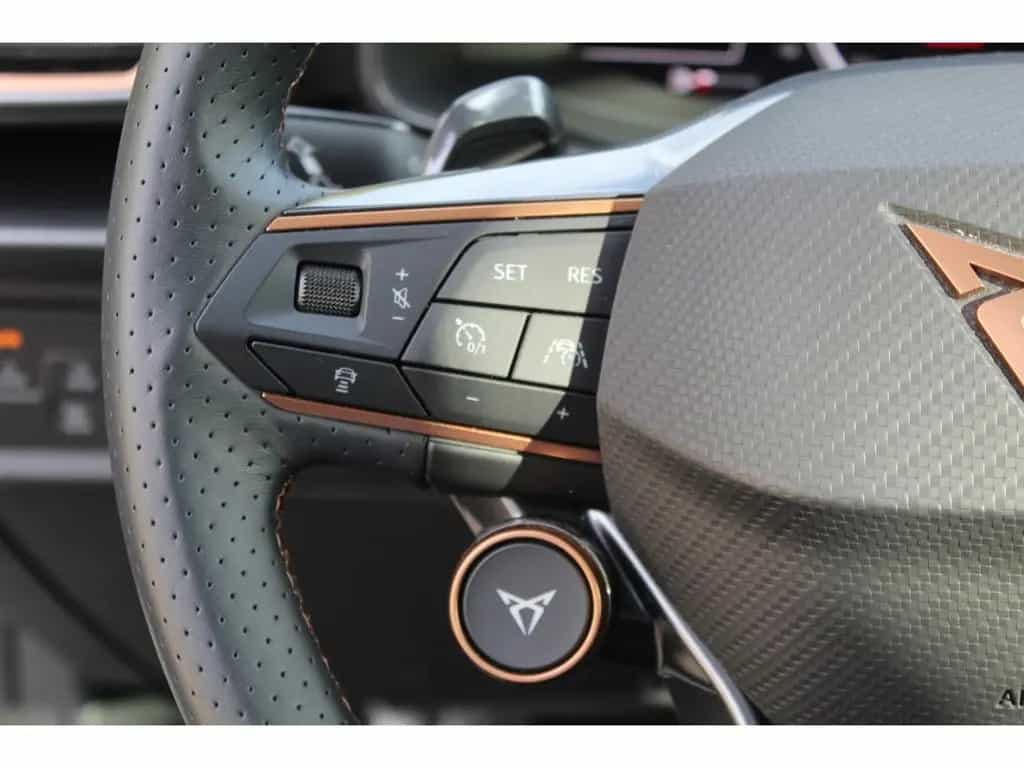 Cupra Formentor 2.0 TSI DSG 4Drive VZ NAVI LED KAMERA 09/2022-photo-8