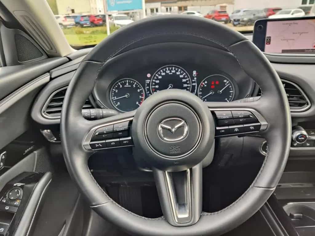 Mazda CX-30 Exclusive-line, Bose-Sound, 360°, Matrix-L 12/2024-photo-14