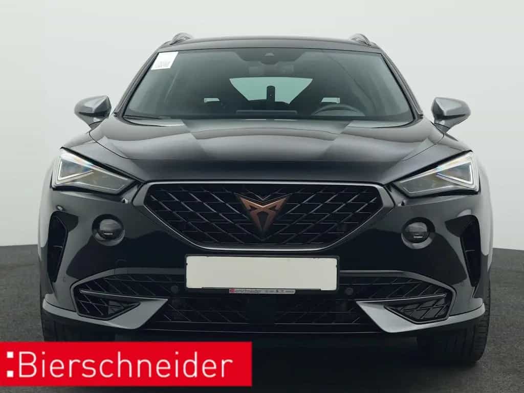 Cupra Formentor 2.0 TSI DSG 4Dr. VZ NAVI MATRIX ACC 09/2023-photo-9