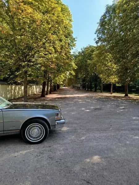 Cadillac Seville 06/1979-photo-5