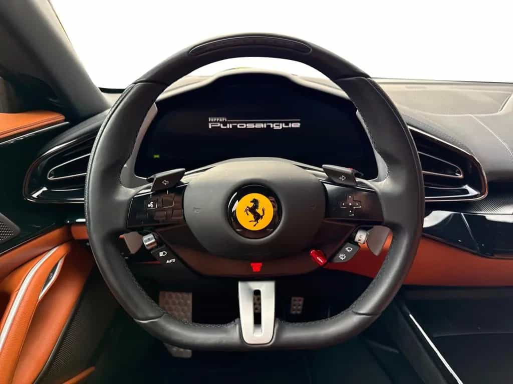 Ferrari Purosangue *Embleme*HiFi*PDC*Klima*Leder* 10/2024-photo-13