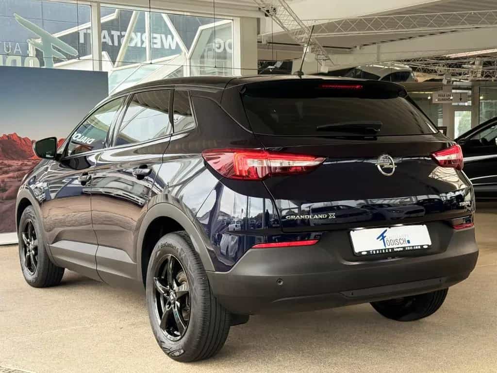 Opel Grandland 06/2019-photo-13