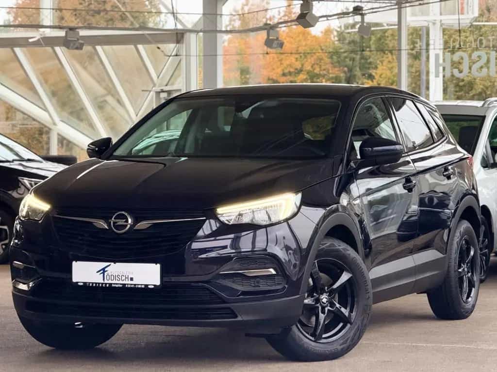 Opel Grandland 06/2019-photo-2