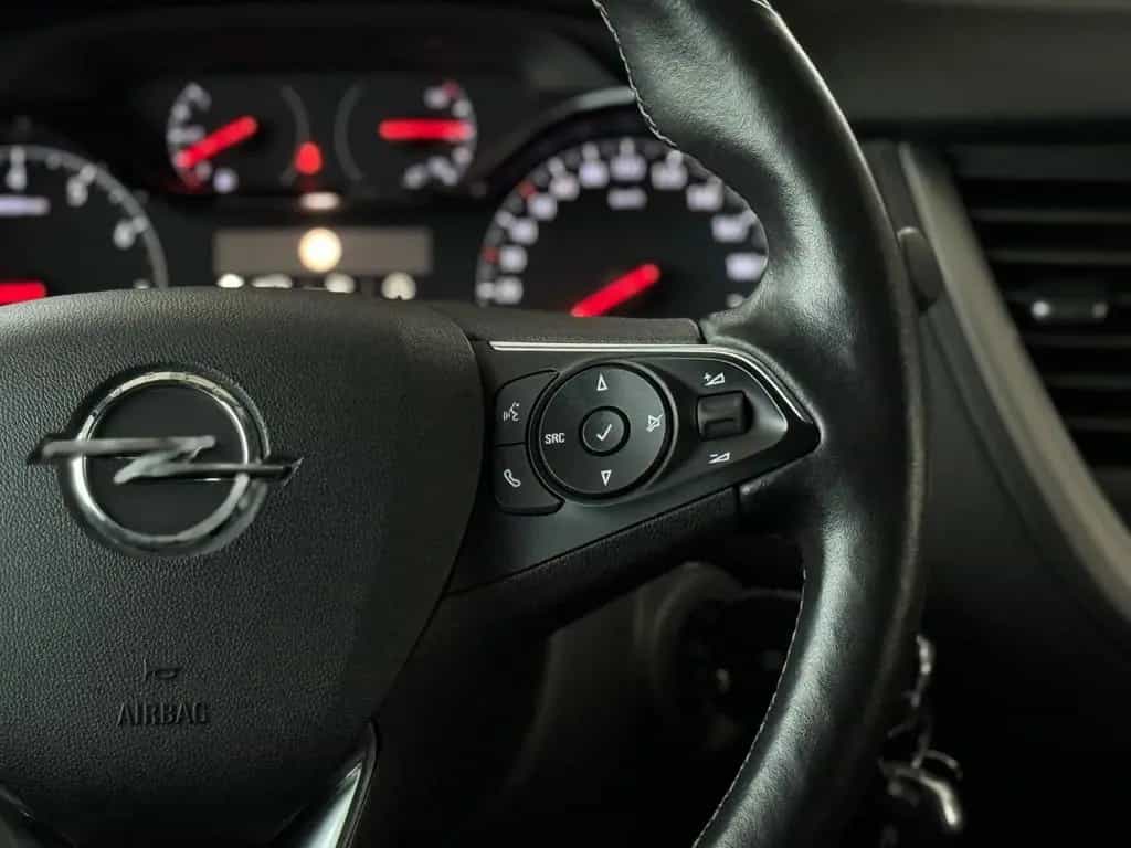 Opel Grandland 06/2019-photo-29