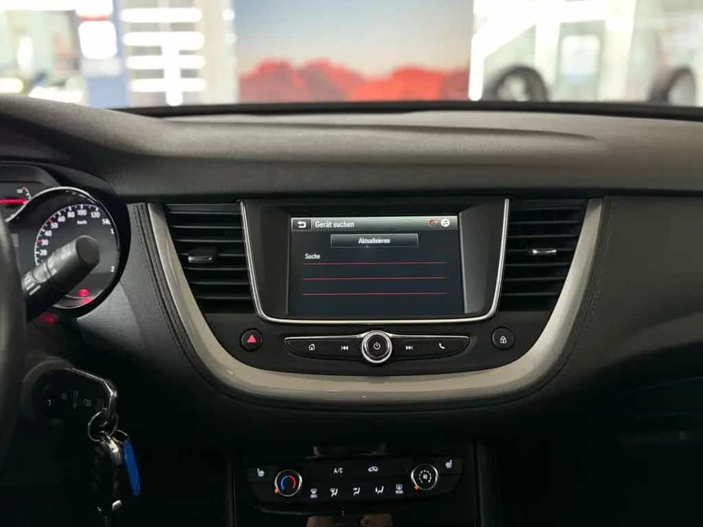 Opel Grandland 06/2019-photo-38