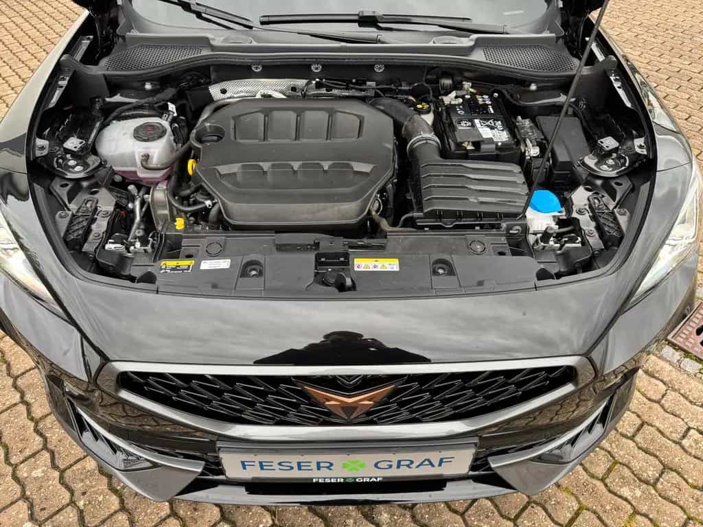Cupra Formentor 2.0 TSI DSG eHECK KAM LED SHZ 09/2023-photo-26