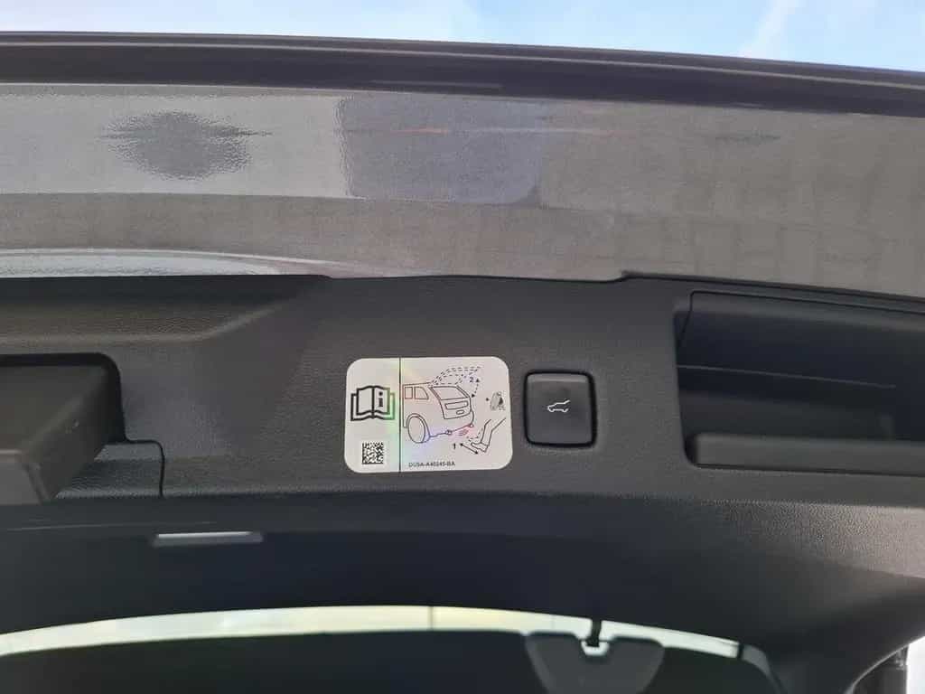 Ford Kuga 1.5 Eco Boost ST-Line X 07/2020-photo-12