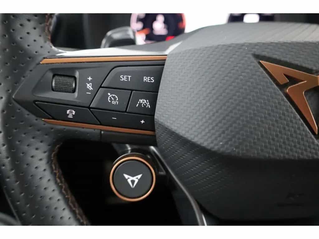 Cupra Formentor 2.0 TSI 4Drive VZ DSG AHK/LED/ACC/RFK 06/2023-photo-13