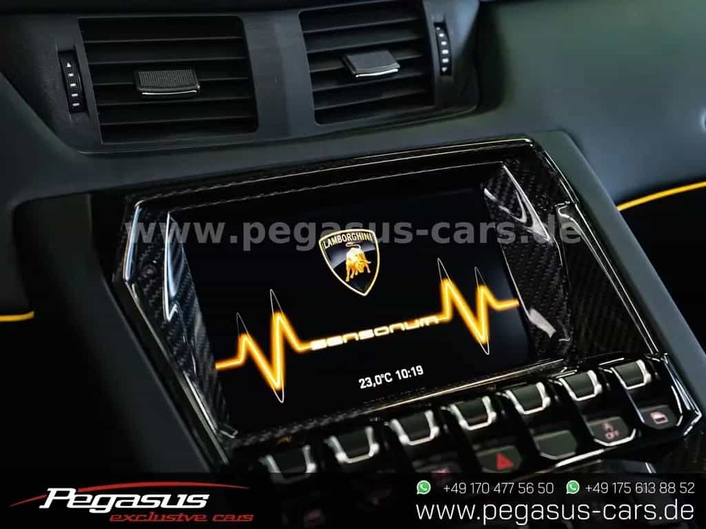 Lamborghini SVJ Roadster*COLLECTOR*CARBON*LIFT*PPF*20/21 08/2020-photo-45