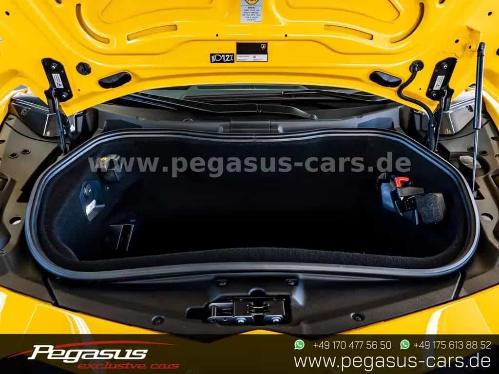 Lamborghini SVJ Roadster*COLLECTOR*CARBON*LIFT*PPF*20/21 08/2020-photo-49