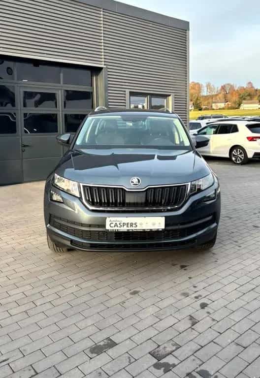 Skoda Kodiaq Ambition 4x4/Navi/APP/CANTON/Kamera 07/2018-photo-7