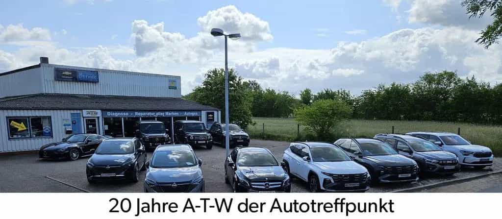 Land Rover Range Rover Rover Evoque SE Dynamic Panoramaglasdach 11/2018-photo-22