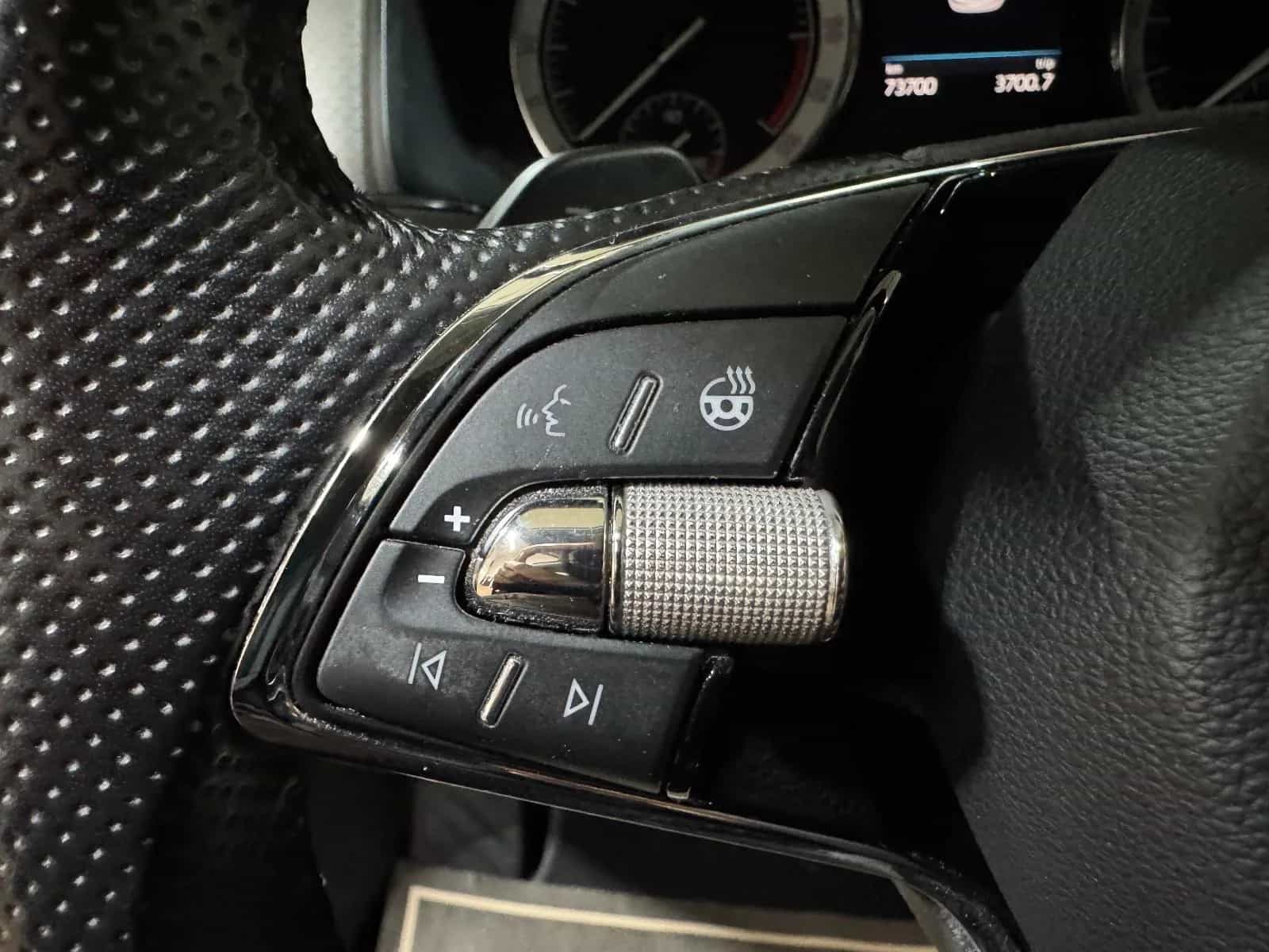 Skoda Kodiaq 10/2021-photo-19
