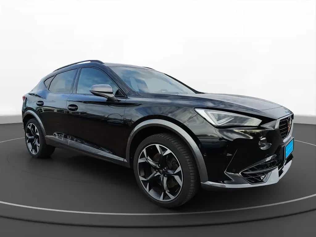Cupra Formentor 2.0 TSI 4Drive DSG NAVI Matrix 08/2023-photo-12