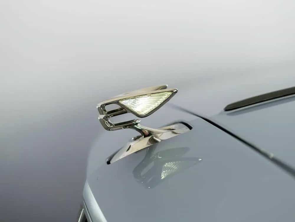 Bentley Flying Spur Speed 11/2023-photo-7