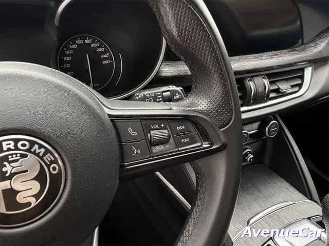 Alfa Romeo Stelvio ROMEO Stelvio Super Business Q4 TELECAMERA 11/2022-photo-14