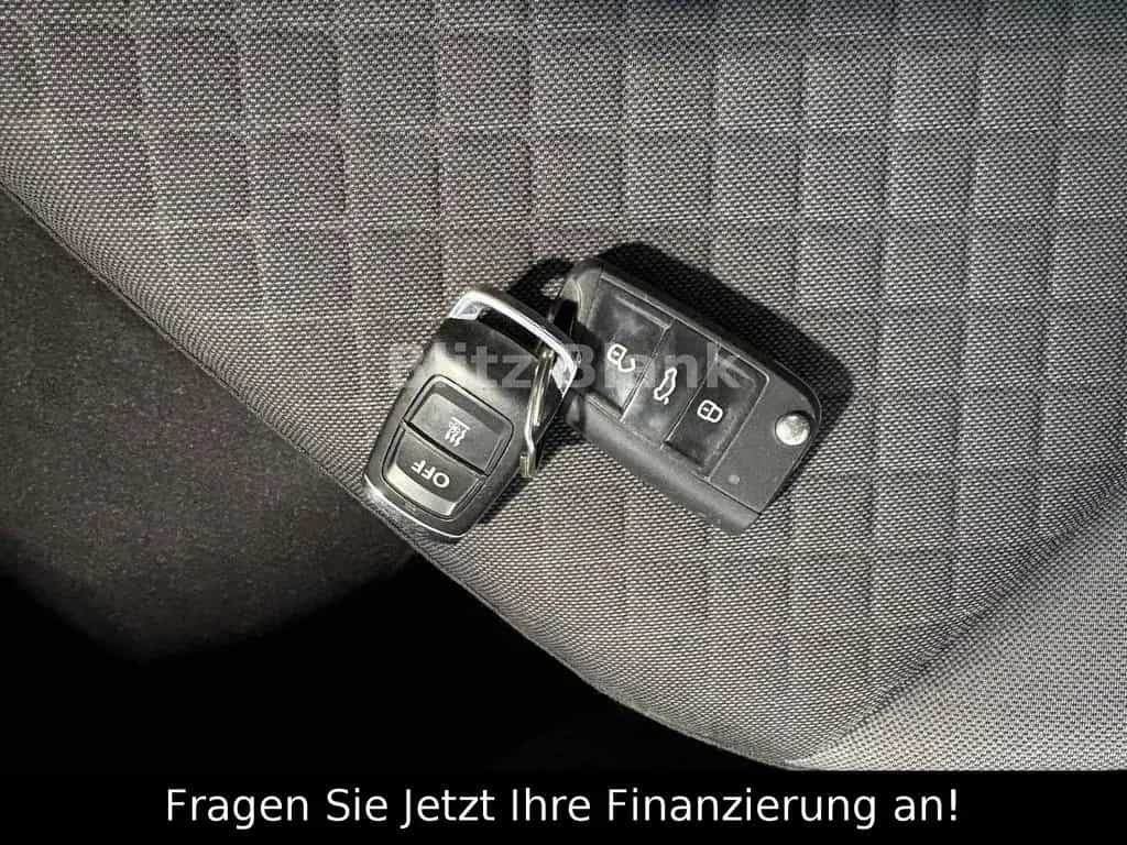 Volkswagen Tiguan 2.0 TSI 4Motion DSG Standheizung Kamera A 06/2019-photo-28
