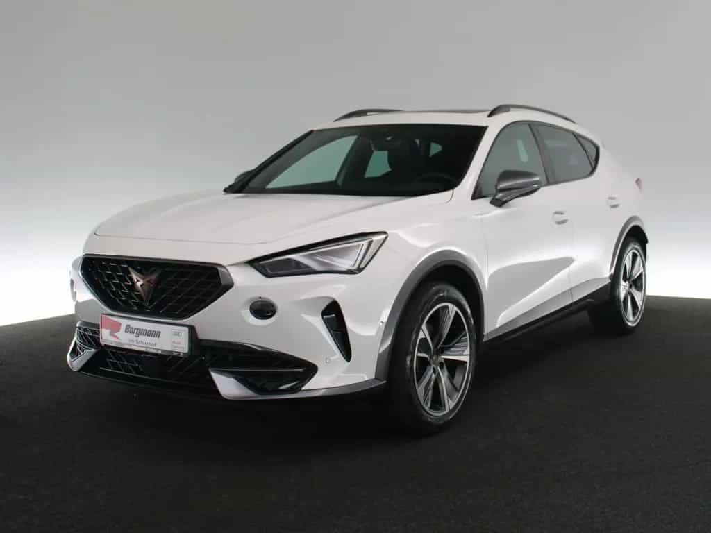Cupra Formentor 2.0 TSI 4Drive PANO NAVI KAMERA DCC 08/2023-photo-1