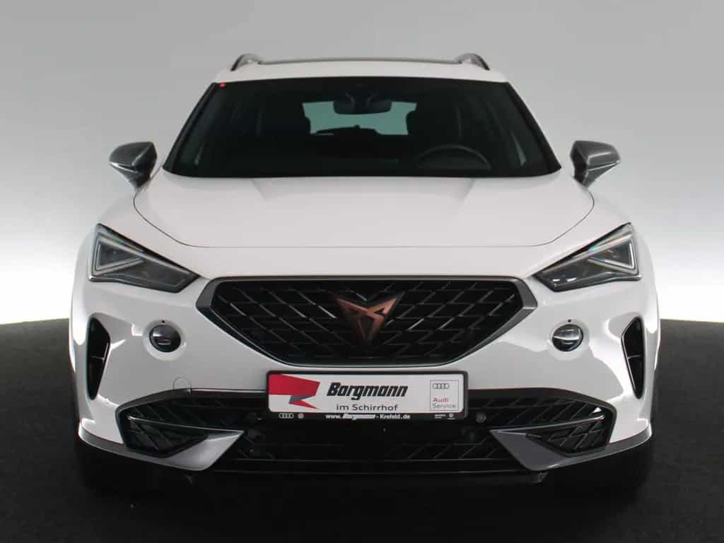 Cupra Formentor 2.0 TSI 4Drive PANO NAVI KAMERA DCC 08/2023-photo-18
