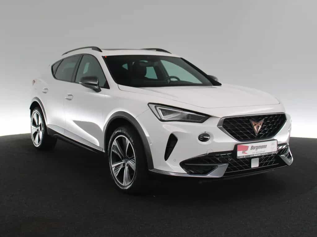 Cupra Formentor 2.0 TSI 4Drive PANO NAVI KAMERA DCC 08/2023-photo-2