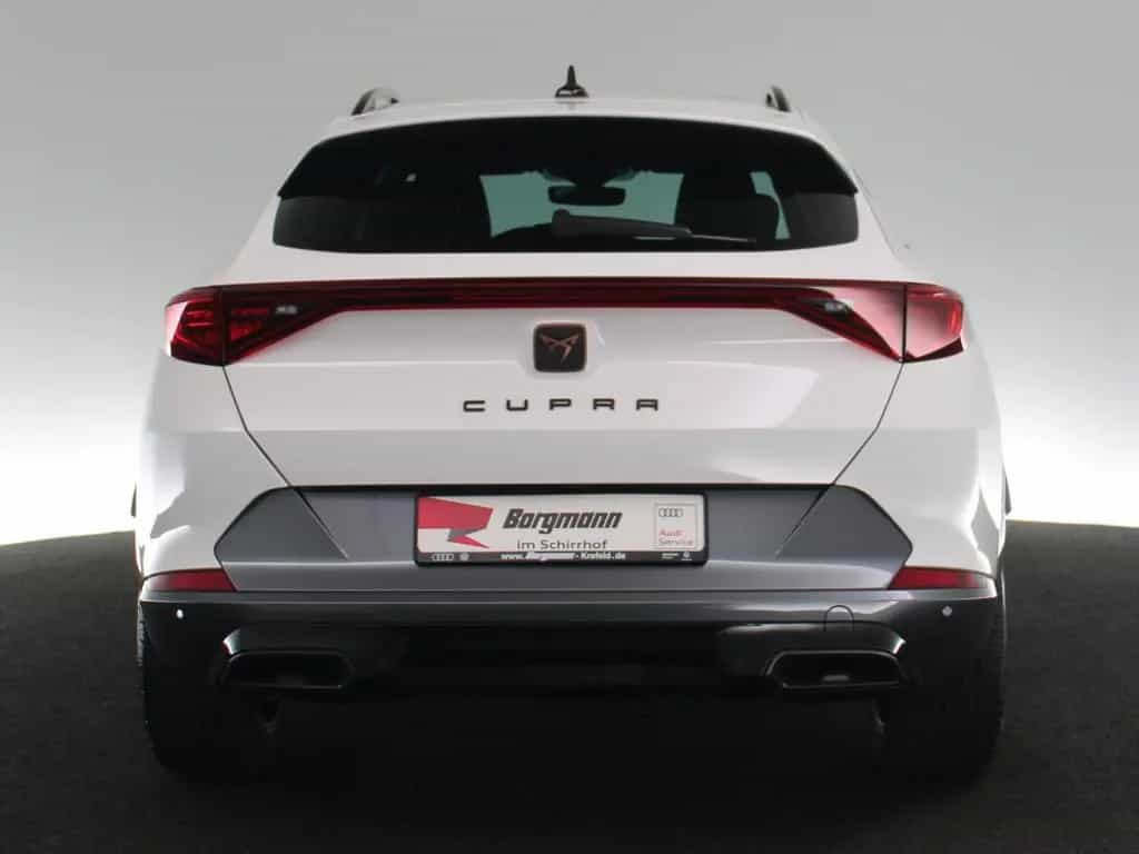 Cupra Formentor 2.0 TSI 4Drive PANO NAVI KAMERA DCC 08/2023-photo-20