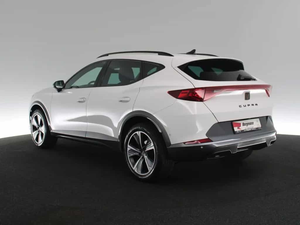 Cupra Formentor 2.0 TSI 4Drive PANO NAVI KAMERA DCC 08/2023-photo-4
