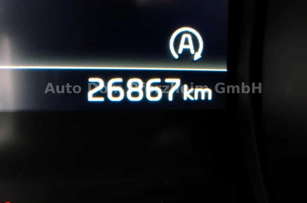 Kia XCeed 1.5 T-GDI DCT Vision + Komfort-Paket/NAVI 09/2024-photo-15