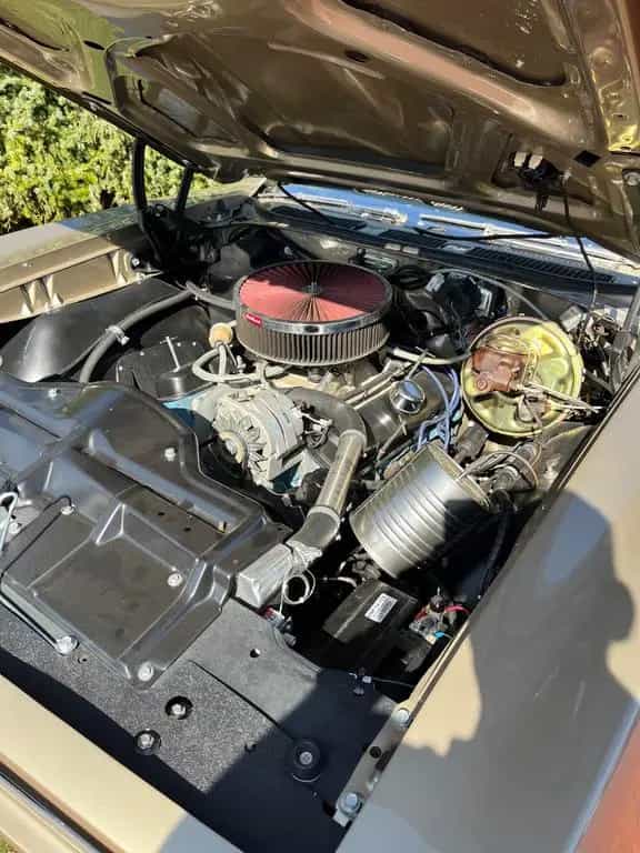 Pontiac GTO Cabrio V8 06/1968-photo-8