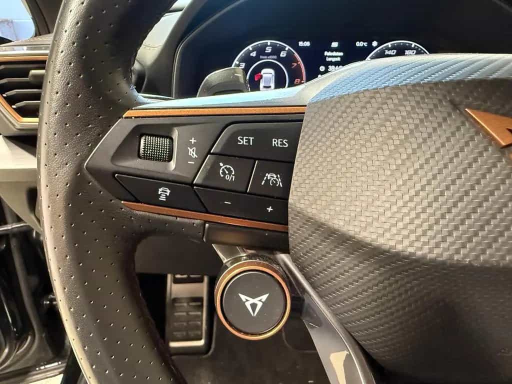 Cupra Formentor 2.0 TSI DSG VZ 4Drive AHK|LED|SHZ|Wint 08/2021-photo-11