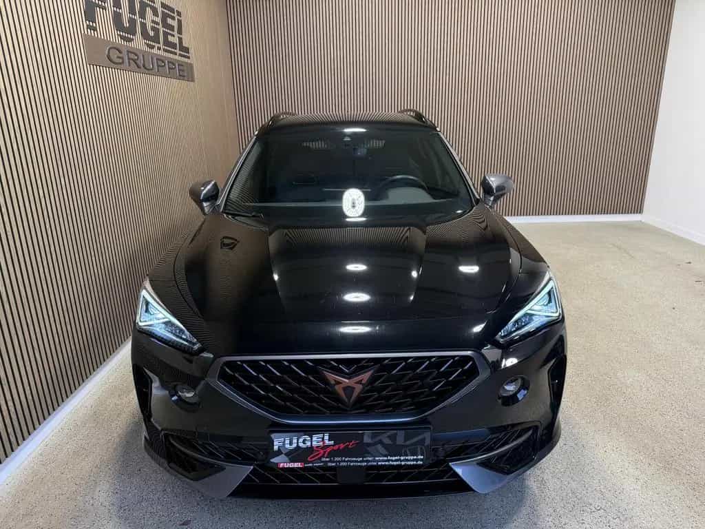 Cupra Formentor 2.0 TSI DSG VZ 4Drive AHK|LED|SHZ|Wint 08/2021-photo-22