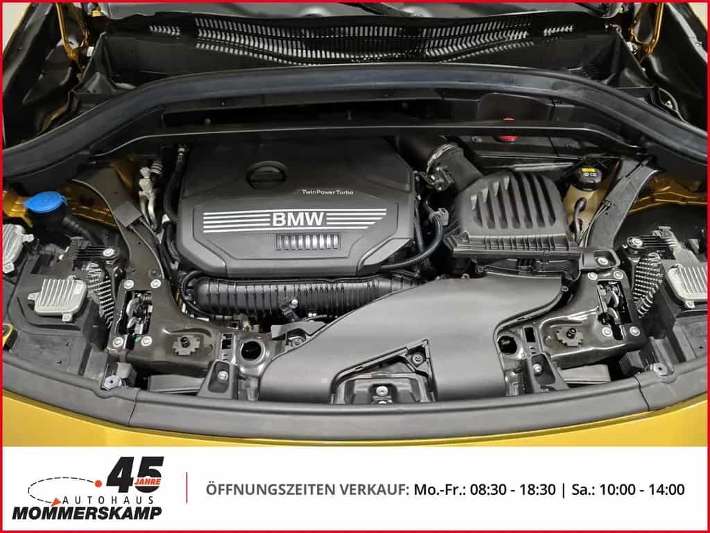 BMW X2 sDrive 20 i Advantage+Automatik+Allwetter+PDC 10/2019-photo-13