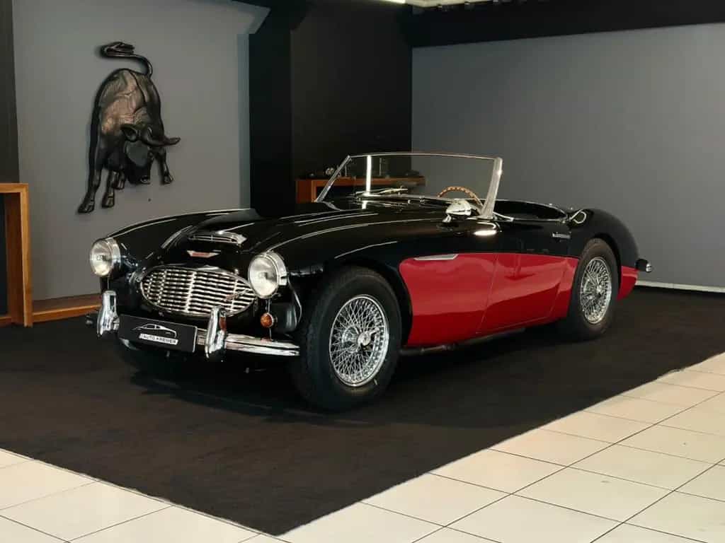 Austin Healey Other Austin Healy 3000 07/1961-photo-0