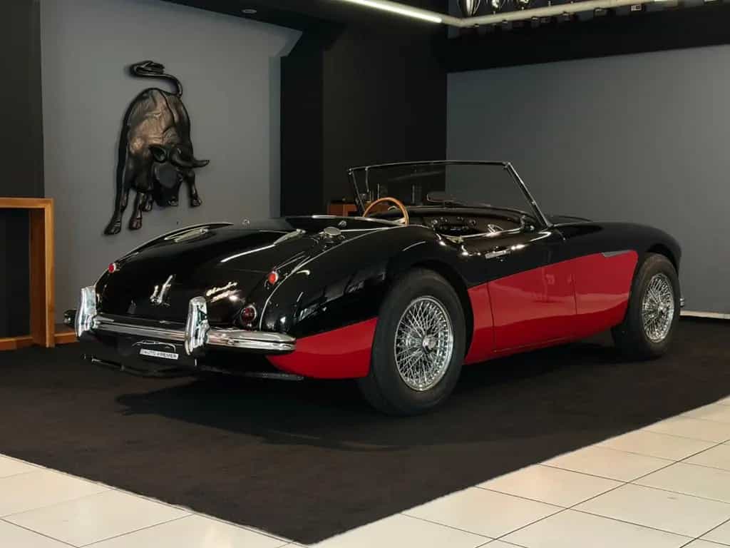 Austin Healey Other Austin Healy 3000 07/1961-photo-2